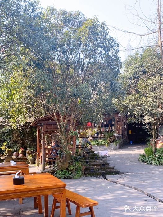 青城甲(青城山店)图片