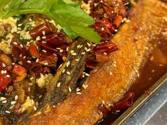 -深夜食堂(永康南路店)