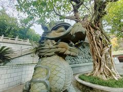-鼎湖山风景区