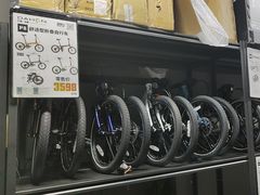 -道路口单车爱瓦士dahon大行