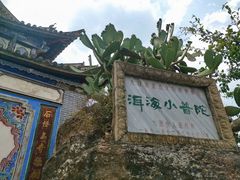 -小普陀