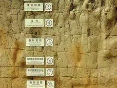 -金沙遗址博物馆