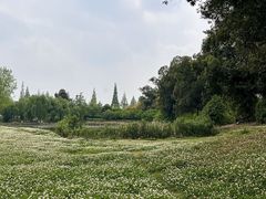 -两河城市森林公园