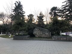 -莲湖公园