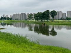 -洋湖国家湿地公园