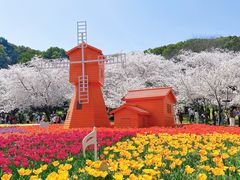 -苏州上方山国家森林公园