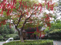 -听松楼·花园酒店·自助餐厅(红梅公园店)