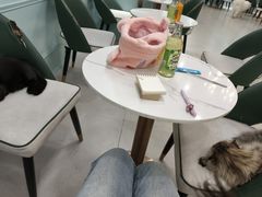 -安格丽娜·狗咖·猫咖羊驼咖(春熙路百盛商场店)