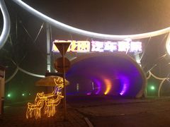 -枫花园汽车电影院(朝阳公园店)