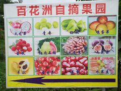 -松山湖梦幻百花洲