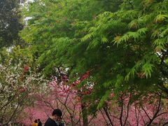 -圩墩遗址公园