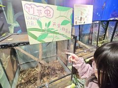 -正佳雨林生态植物园