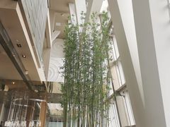-上海柏悦酒店·世纪100牛排馆