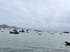 -海源公园