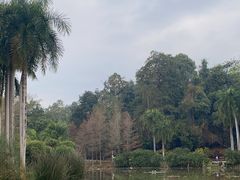-中国科学院西双版纳热带植物园
