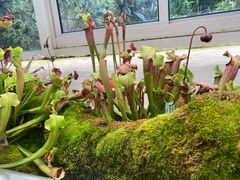 -上海松江假日酒店