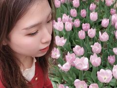 -石家庄市植物园