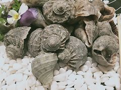 -蒲叙(凯天国际店)