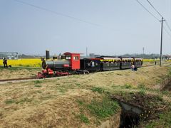 -桤木河湿地公园