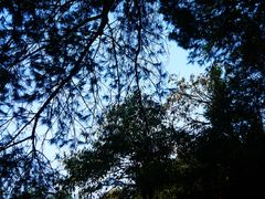 -重庆雨台山风景区