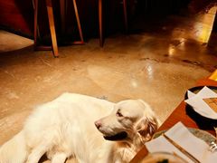 -咖法森林·咖啡  酒吧(天河店)