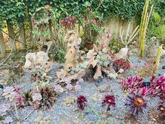 -中国科学院西双版纳热带植物园