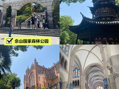 -上海辰山植物园