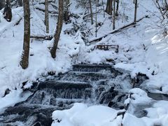 -峡谷浮石林景区