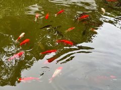 -宁波市保国寺古建筑博物馆