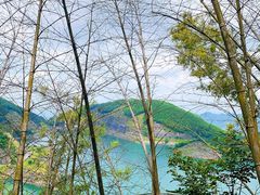 -长沙黑麋峰国家森林公园