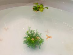 -皇家冰窖小院(什刹海店)