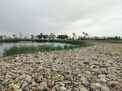 -鹦鹉洲湿地公园
