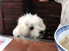 -老西安韩记三鲜煮馍(四府街店)