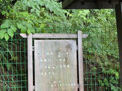 -句容茅山景区
