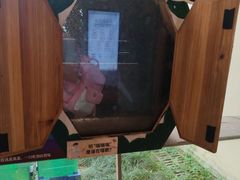 -宁波九龙湖开元度假村