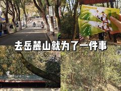 -岳麓山风景名胜区