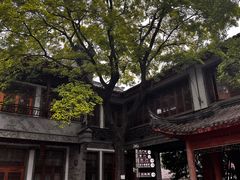 -龙潭水乡