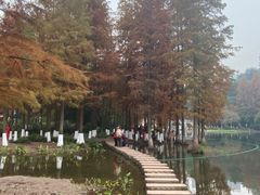 -重庆彩云湖湿地公园