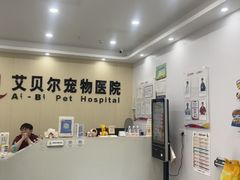 -艾贝尔宠物医院·宠保定点·超声绝育·免疫点(樱花路店)