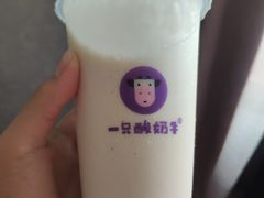 -一只酸奶牛(奎星楼店)