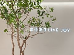 -喜茶(深圳东门1234店)