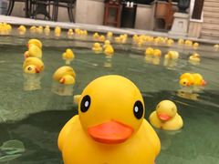 -苏州湾王焰温泉度假酒店