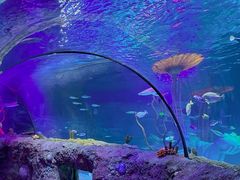 -沈阳海洋探索中心