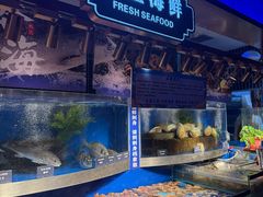 -奔海甄选·活鲜刺身铁板烧自助(太原里店)