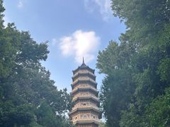 -灵谷景区