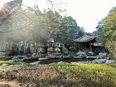 -顺峰山公园