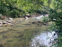 -广州白江湖森林公园