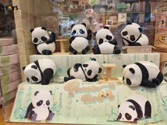 -轩客会(熊猫书店)