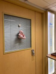 -杭州贝瑞斯美华妇儿医院·早孕·产检·儿科