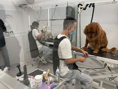 -comecome来吧宠物(奥克斯中心店)